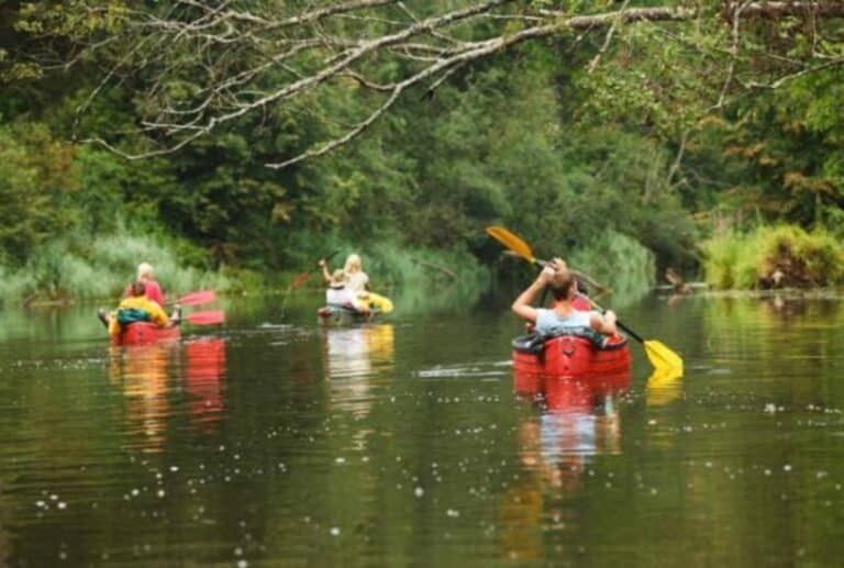 Randonnée de Canoë kayak dans les Cévennes