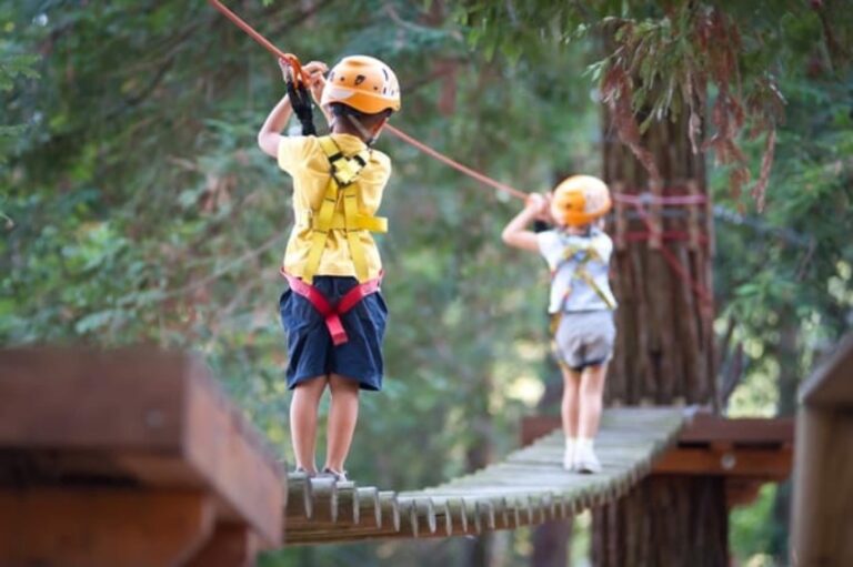 Deux enfants sur le pont de singe du parcours accrobranche enfants