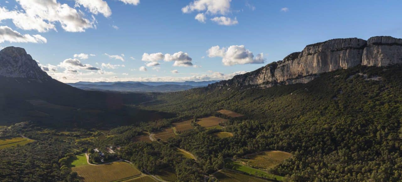 Vue sur le Pic saint loup