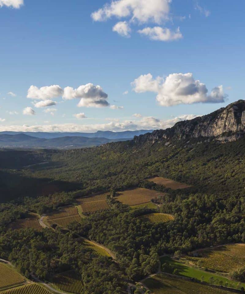 Vue sur le Pic saint loup