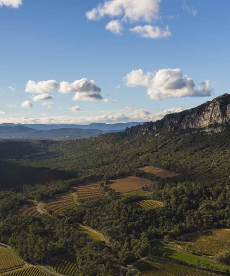 Vue sur le Pic saint loup