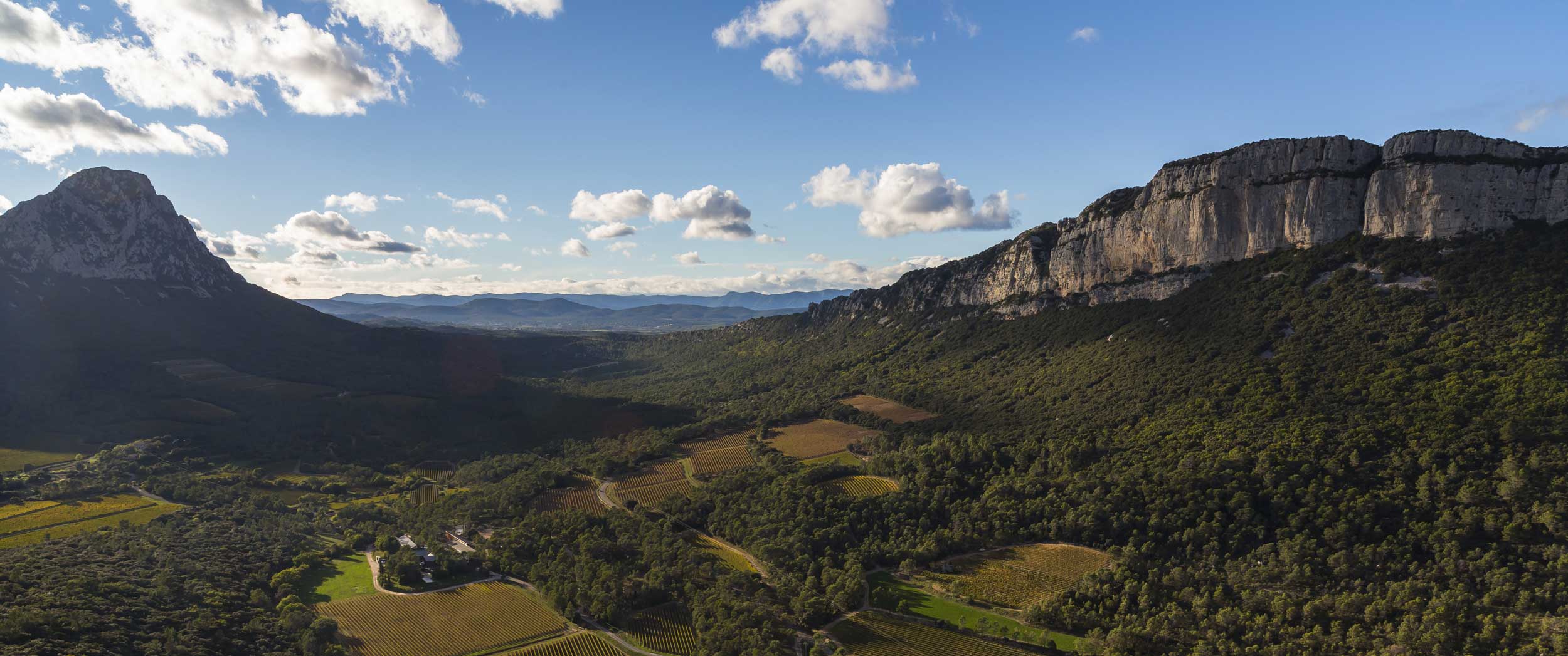 Vue sur le Pic saint lou^p