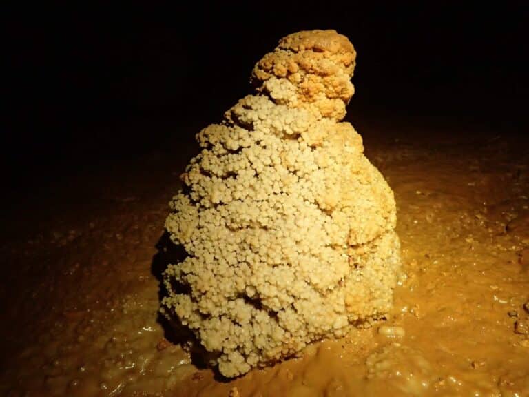 Stalagmite dans la grotte de la Roquette