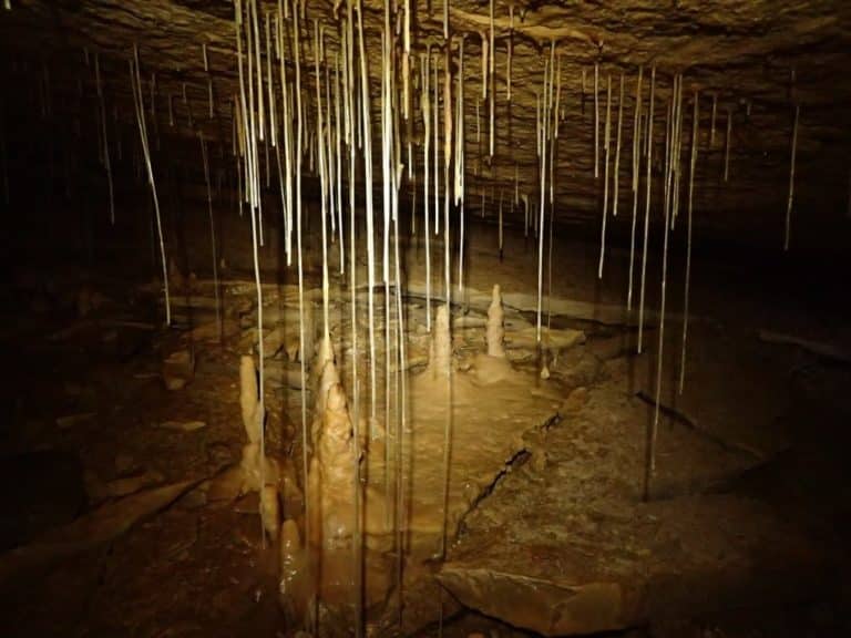 Stalactite dans la grotte de la Fausse Monnaie