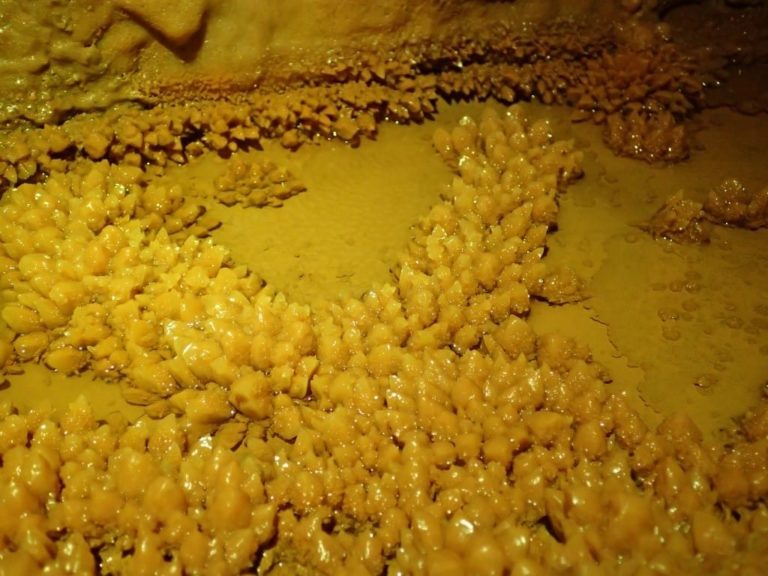 Formations de minéraux au sol de la Grotte Bégué-Ponchon