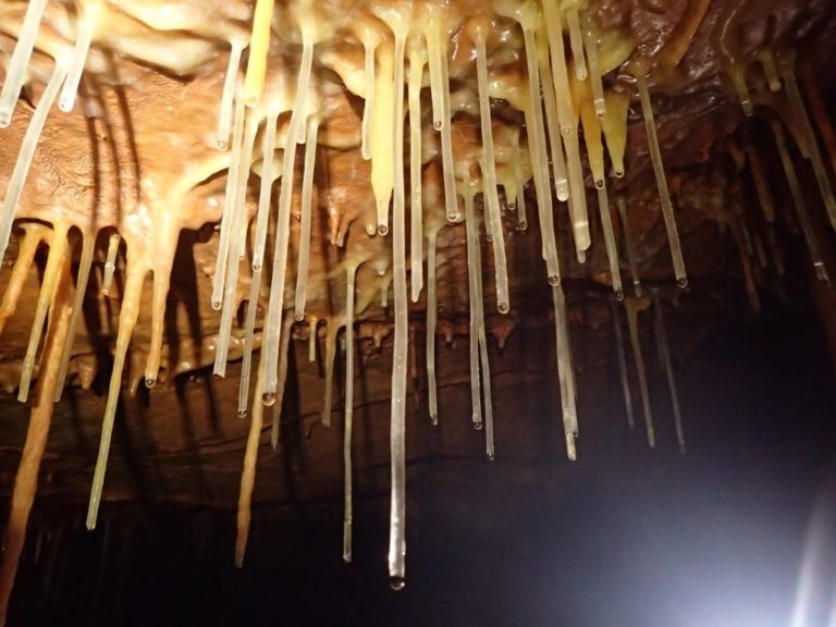stalactites de la grotte de Genevaux