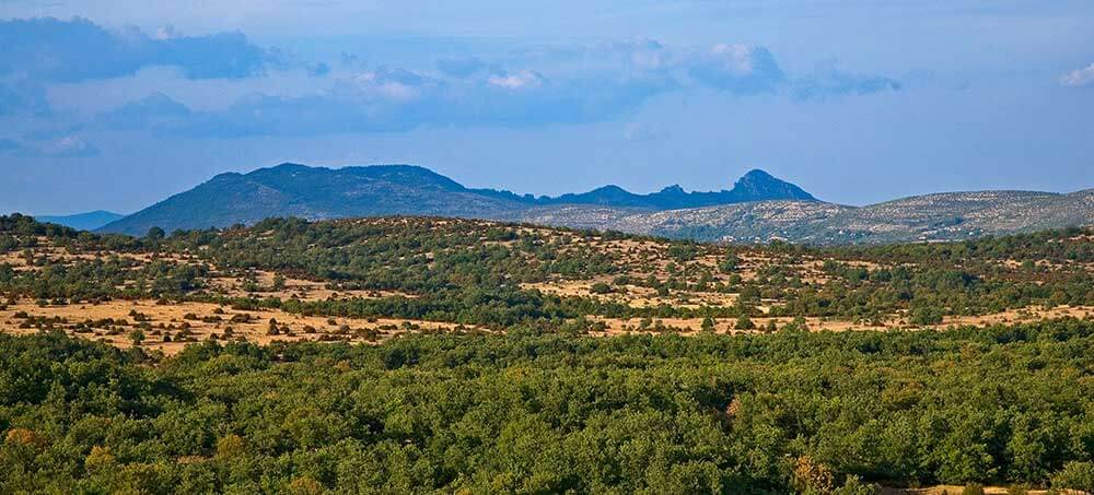 Causse de Blandas dans le Gard