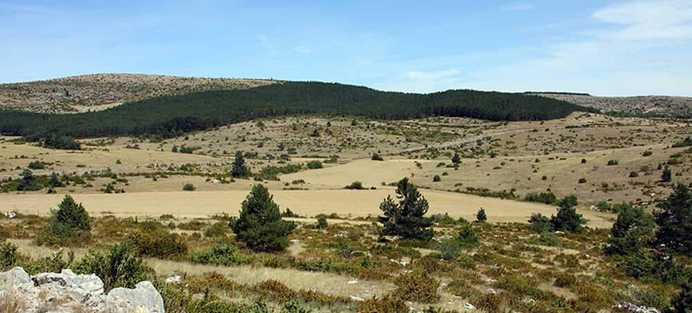 Paysage du causse de Sauveterre