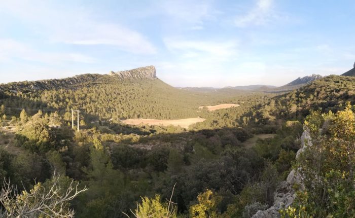 Vue sur le pic Saint loup, depuis un chemin de randonnée